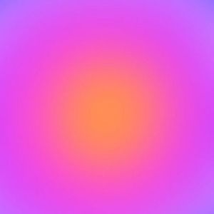 Meet your Posher, Leila